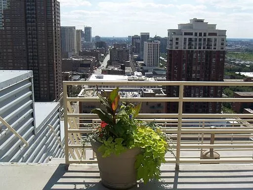 For Lease 40 E 9 Th Street 1318 Chicago Il 1 Bed 1 Full Bath Chicago Il